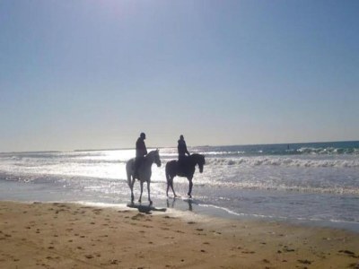 Holiday park Wohnung in Erdeven nahe Strand Kerhillio - Environment photo 37