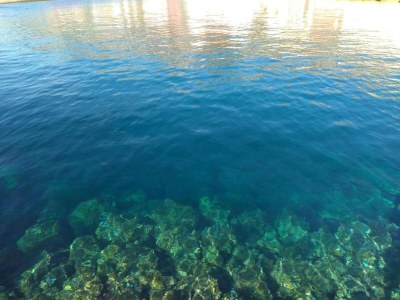 Holiday house Ferienhaus in Sukošan am Meer - Environment photo 26