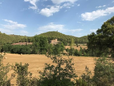 Holiday house Peaceful Rural Retreat near Suria - Outdoor photo 10