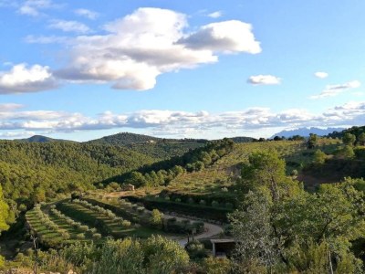 Holiday house Peaceful Rural Retreat near Suria - Environment photo 34