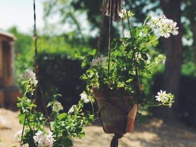 Holiday house Peaceful Rural Retreat near Suria - Outdoor photo 38