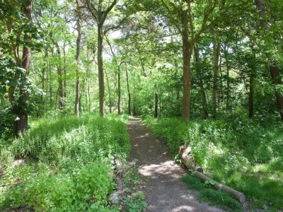 Holiday park Ferienhaus nahe De Biesbosch & Breda - Environment photo 9