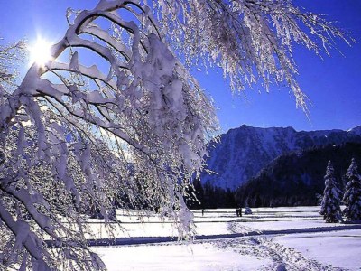 Apartment Holiday Rental Chamrousse 153 - Environment photo 65