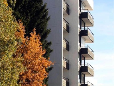 Apartment Holiday Rental Chamrousse 174 - Outdoor photo 13