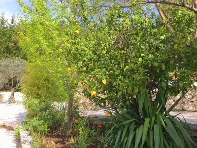 Holiday house Villa in Ampus with Panoramic Views & Pool - Outdoor photo 4