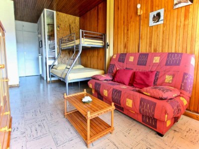 Apartment Holiday Rental Chamrousse 216 - Features photo 19