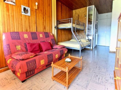 Apartment Holiday Rental Chamrousse 216 - Features photo 22