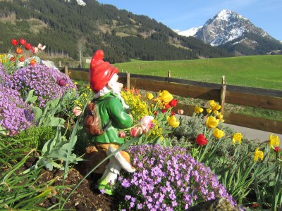 Holiday apartment Rubihorn - Outdoor photo 4