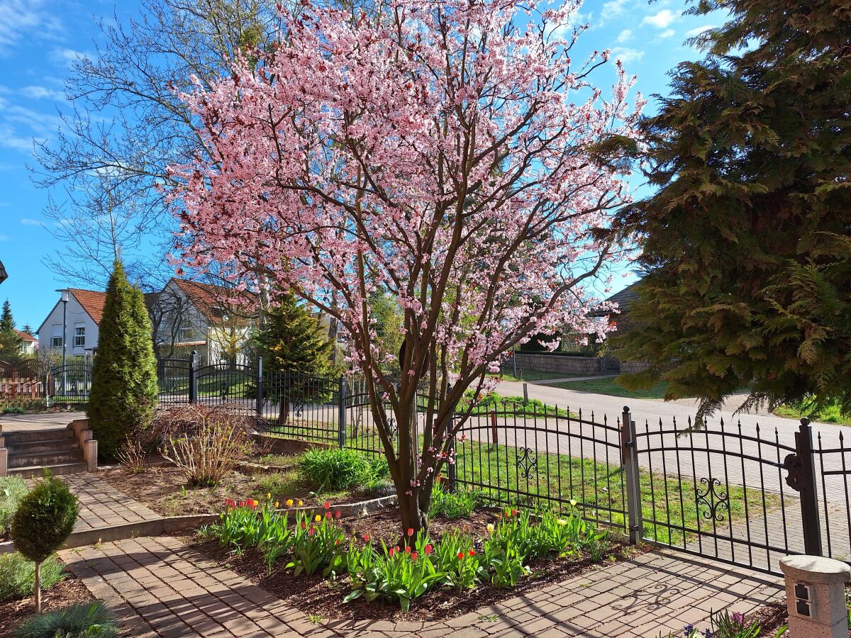 Holiday apartment 'Am Barschsee' - Outdoor photo 3