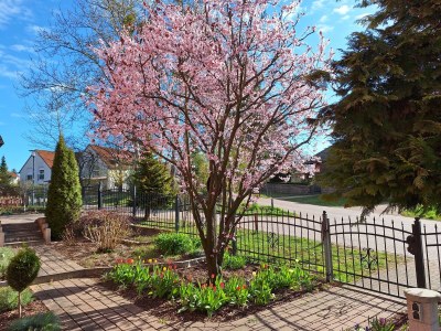 Holiday apartment 'Am Barschsee' - Outdoor photo 3