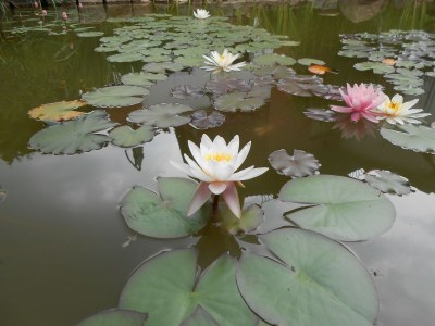 Holiday apartment 'Am Barschsee' - Outdoor photo 5