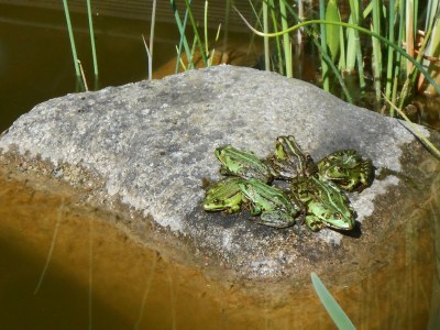 Holiday apartment 'Am Barschsee' - Outdoor photo 6