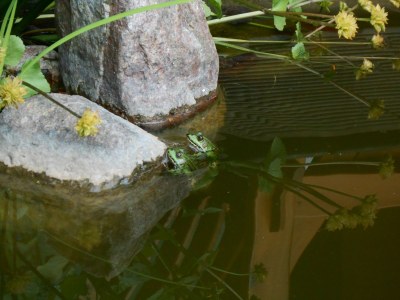 Holiday apartment 'Am Barschsee' - Outdoor photo 7