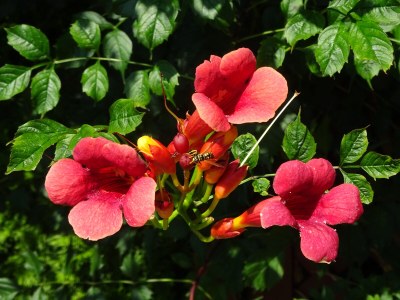 Holiday apartment 'Am Barschsee' - Outdoor photo 12