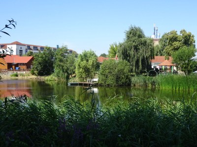 Holiday apartment 'Am Barschsee' - Outdoor photo 14