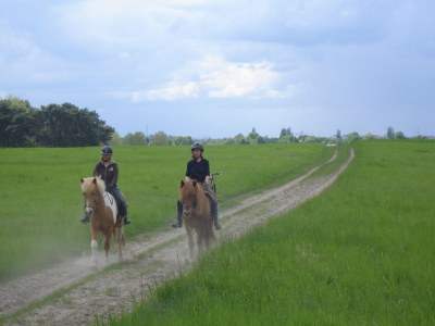 Holiday apartment 'Am Barschsee' - Environment photo 35