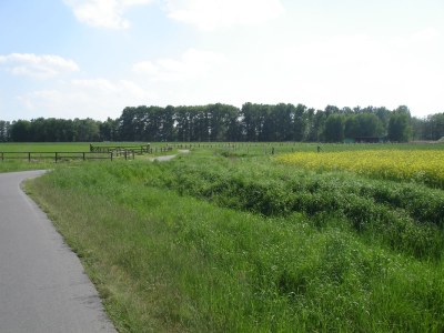 Holiday apartment 'Am Barschsee' - Environment photo 36