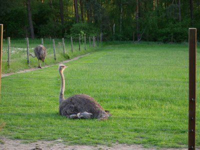 Holiday apartment 'Am Barschsee' - Environment photo 39