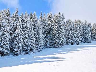 Apartment Holiday Rental Chamrousse 245 - Outdoor photo 2