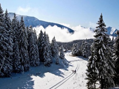 Apartment Holiday Rental Chamrousse 245 - Outdoor photo 8