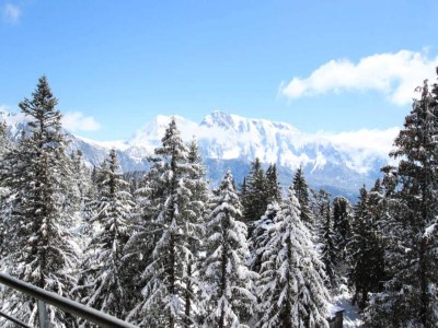 Apartment Holiday Rental Chamrousse 245 - Outdoor photo 11