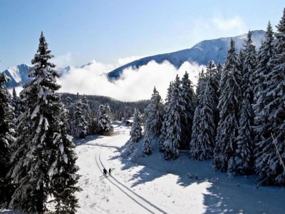 Apartment Holiday Rental Chamrousse 245 - Outdoor photo 14