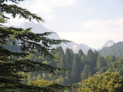 Holiday apartment Strodl - Environment photo 19