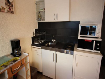 Apartment Holiday Rental Chamrousse 246 - Features photo 9