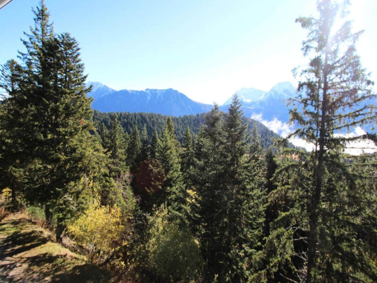 Apartment Holiday Rental Chamrousse 249