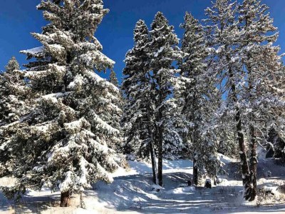 Apartment Ferienwohnung Chamrousse 261 - Outdoor photo 9