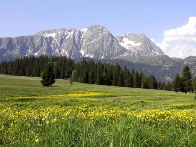 Apartment Ferienwohnung Chamrousse 261 - Environment photo 22