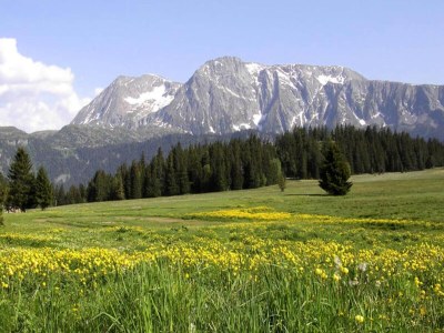 Apartment Ferienwohnung Chamrousse 261 - Environment photo 28