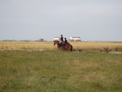 Holiday apartment Freise - Environment photo 14