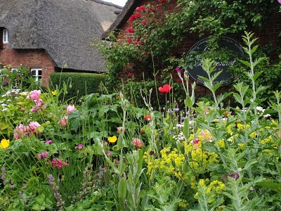 Holiday apartment "ual skinne" - Brarenhof - Outdoor photo 8