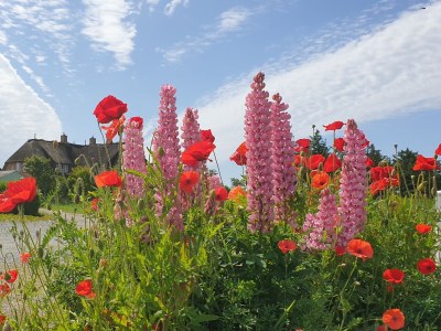 Holiday apartment "ual skinne" - Brarenhof - Outdoor photo 10
