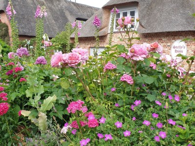 Holiday apartment "ual skinne" - Brarenhof - Outdoor photo 11