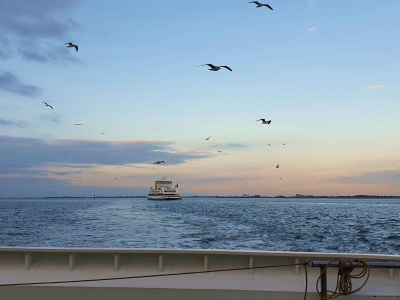 Holiday apartment "ual skinne" - Brarenhof - Environment photo 29