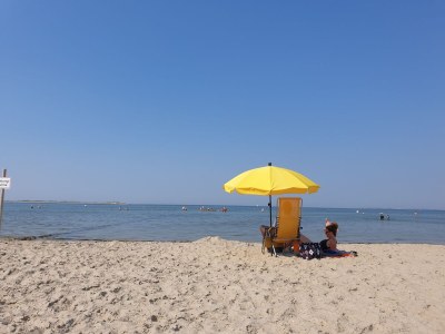 Holiday apartment "ual skinne" - Brarenhof - Environment photo 31