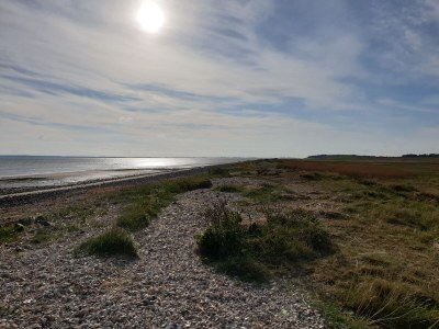 Holiday apartment "ual skinne" - Brarenhof - Environment photo 34