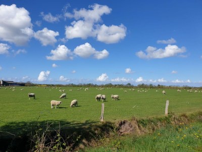 Holiday apartment "ual skinne" - Brarenhof - Environment photo 37