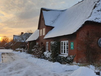 Holiday apartment "ual skinne" - Brarenhof - Environment photo 39