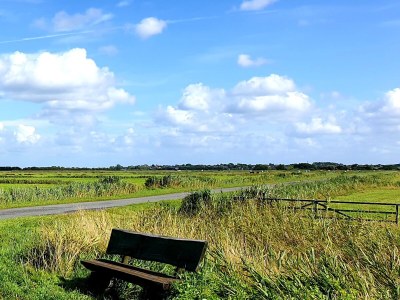 Holiday apartment "ual skinne" - Brarenhof - Environment photo 40