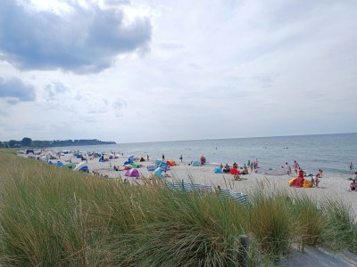 Holiday house Neubert - Environment photo 34