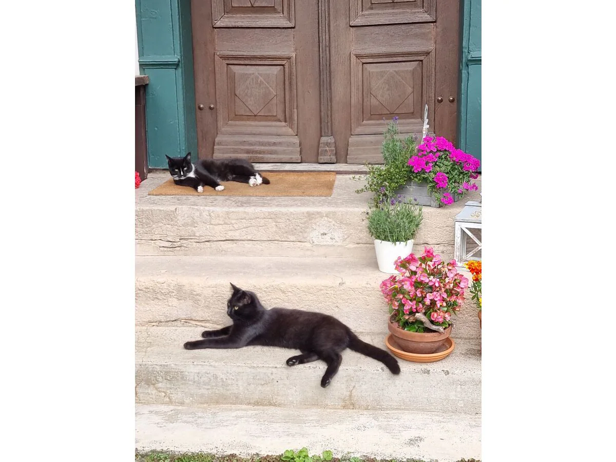 Holiday apartment Kudlek - Outdoor photo 4