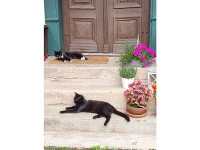 Holiday apartment Kudlek - Outdoor photo 4