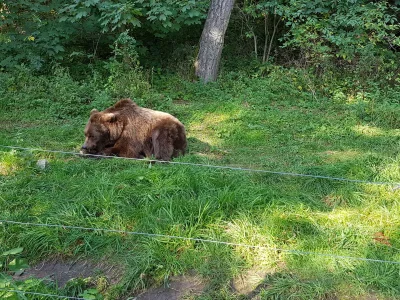 Holiday apartment Kudlek - Environment photo 28