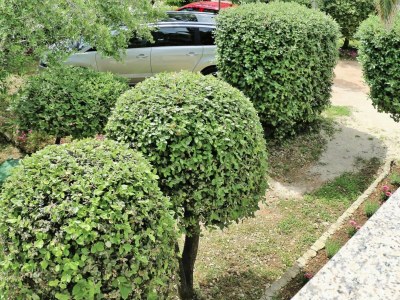 Holiday park Wohnung in Vir nahe Jadro Strand - Outdoor photo 2