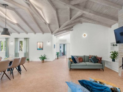 Villa My Vladan - Features photo 32