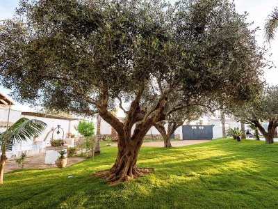 Apartment Casa Marsala 1 - Outdoor photo 16