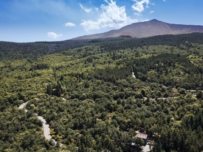 Villa Gebel House - Environment photo 55